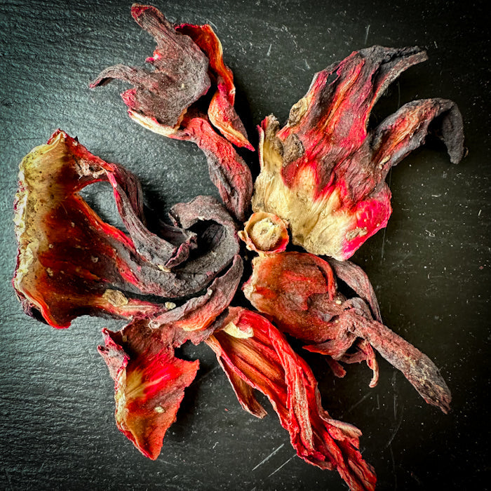 Каркаде тея - Hibiskus zieds 