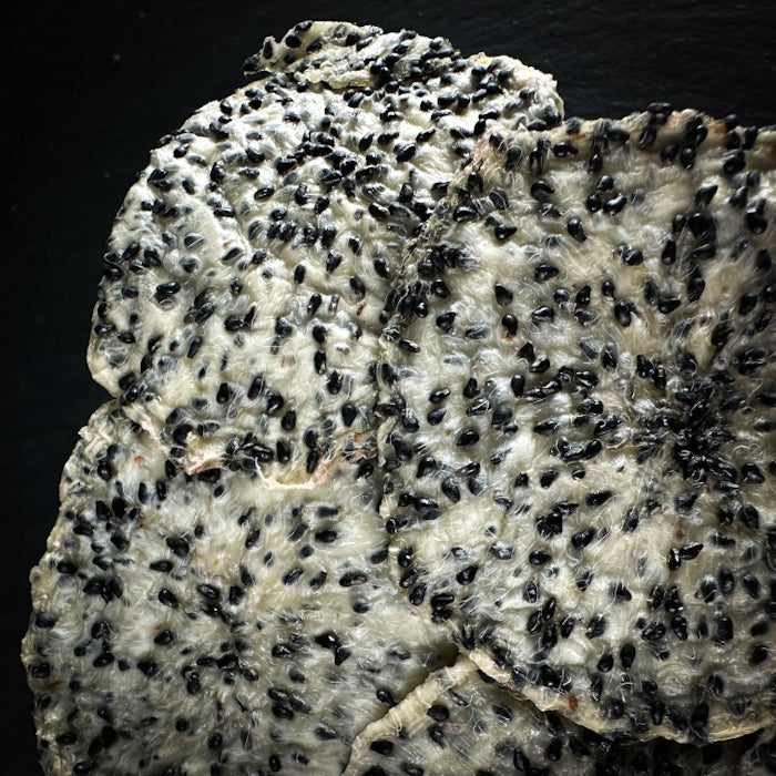 Жавета питайя, балта (драконий фрукт)